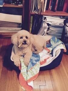 My #1 employee. 